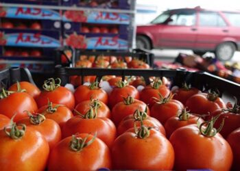 Ege’den Rusya’ya ihracatta yüzde 111’lik artış