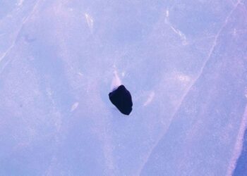 Antarktika’dan toplanan meteoritler NASA yolcusu