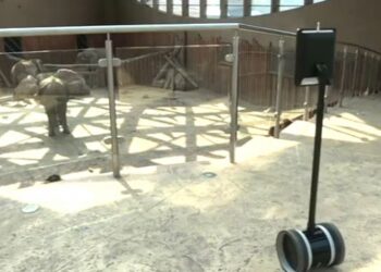 Robot “Leos” hasta çocuklara sevimli dostlarını ziyaret imkanı sağlıyor