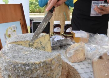 Bodrum’da Uluslararası Peynir Festivali başladı