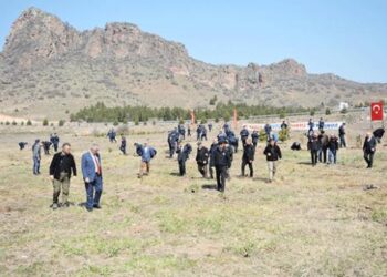 Jandarma 300 fidanı toprakla buluşturdu