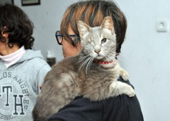 Kazandığı parayı engelli sokak hayvanları için harcıyor