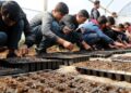 Öğrenciler “ata tohumları”nı toprakla buluşturdu