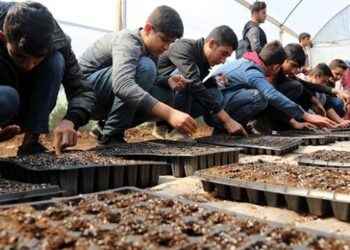 Öğrenciler “ata tohumları”nı toprakla buluşturdu