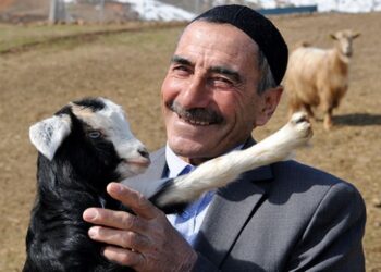 Çıkardığı ilginç seslerle koyunlarını çağıran Bingöllü çoban