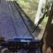 Kedinin su içtiğini görünce tramvayı durdurdu