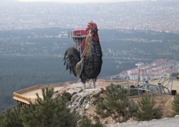 Dünyanın en büyük horoz heykeli Denizli’ye yapılıyor