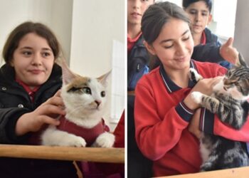 Adıyaman’daki okulun maskotları “Gofret” ve “Miya”