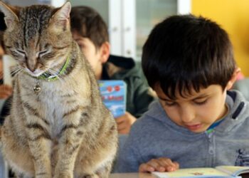 Okulun yeni öğrencisi “Tarçın”