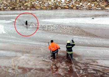 Donmak üzere olan köpeği itfaiye kurtardı