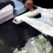 Avusturya’da plastik poşet kullanımı yasaklanacak