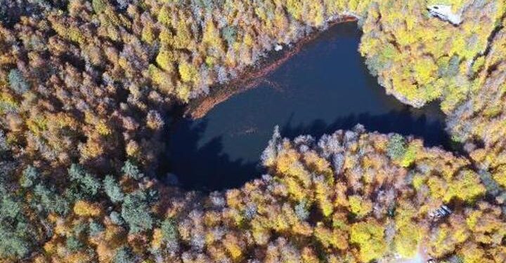 2020’de Bolu ziyaretçi akınına uğradı