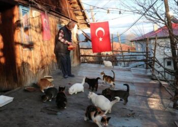 Sokak hayvanları için her gün 10 kilometre yürüyor