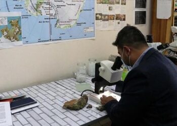 Antarktika’dan topladığı likenler ödül kazandırdı