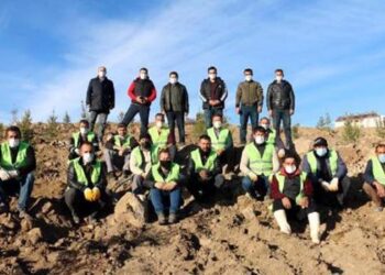 Erciş’te 1742 ladin fidanı dikildi