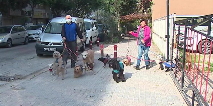 İzmirli çift, terk edilen kedi ve köpekleri sahipleniyor