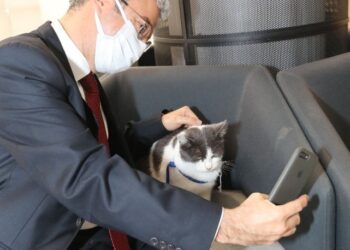 Belediyenin maskotu oldu