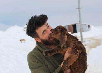 Evinde büyüttüğü oğlaklara isimleriyle sesleniyor