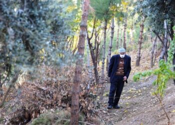 Ömrünü doğaya adadı, 25 yıldır diktiği fidanlarla çöplüğü orman yaptı