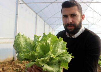 Genç Çiftçi Projesi’yle memleketine döndü