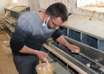 Helal olsun! Kömürlükten kümes yaptılar! 2.700 TL burs veriyorlar…