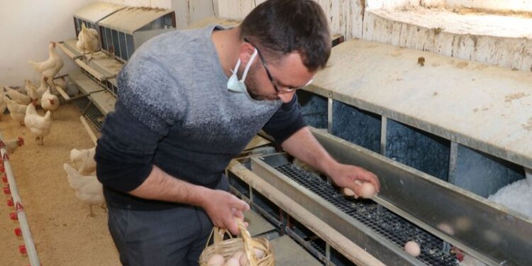 Helal olsun! Kömürlükten kümes yaptılar! 2.700 TL burs veriyorlar…