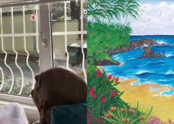 90 yaşındaki parkinson hastasının her gün baktığı boş duvar, manzara resmi ile renklendi