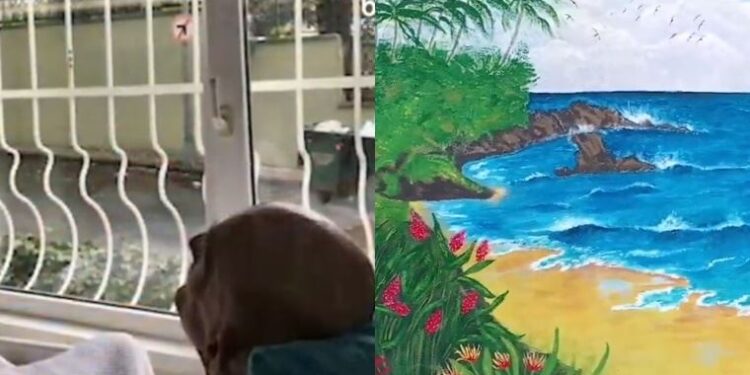 90 yaşındaki parkinson hastasının her gün baktığı boş duvar, manzara resmi ile renklendi