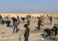 Mehmetçik’ten Tel Abyad’a 740 fidan