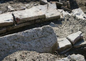 Fidan dikerken bulmuştu… Gönüllü oldu
