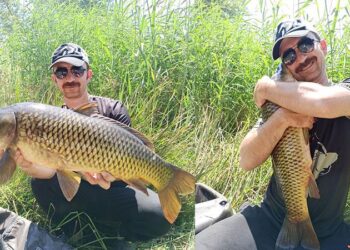 Tuttuğu büyük balıklarla fotoğraf çektirip, tekrar suya bırakıyor