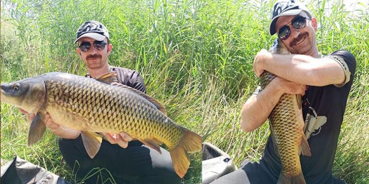 Tuttuğu büyük balıklarla fotoğraf çektirip, tekrar suya bırakıyor
