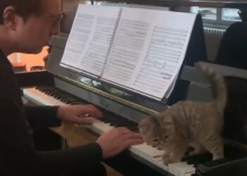 Fazıl Say, kedisi Küt’le birlikte piyano çaldığı bir video paylaştı