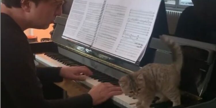 Fazıl Say, kedisi Küt’le birlikte piyano çaldığı bir video paylaştı