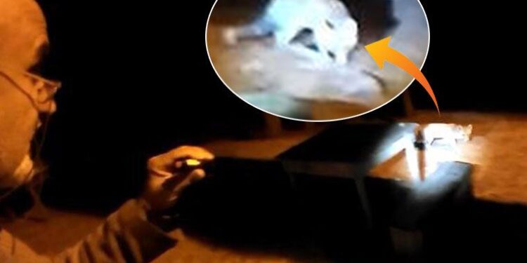 Tilkilerle olan arkadaşlığı sosyal medyada büyük ilgi gördü