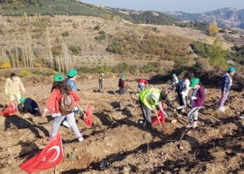 Fidanlar toprakla buluştu