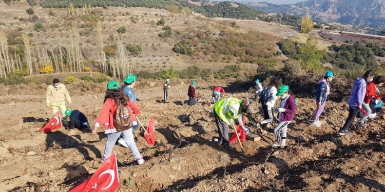 Fidanlar toprakla buluştu