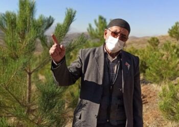 Babadan kalma arazisini 11 yılda ormana dönüştürdü