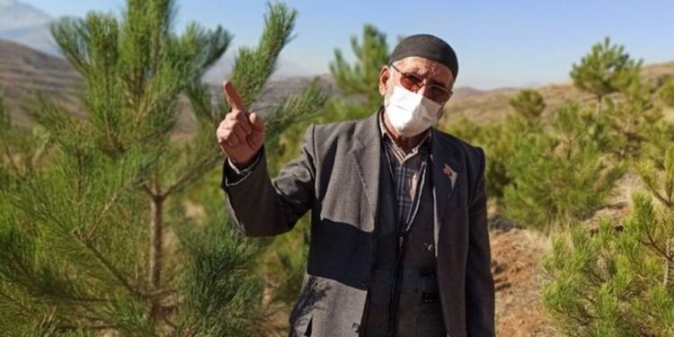 Babadan kalma arazisini 11 yılda ormana dönüştürdü