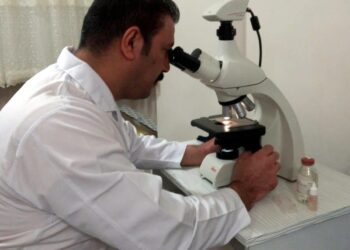 Kuşadası’nda yeni mantar türü keşfedildi: Volvariella Turcica