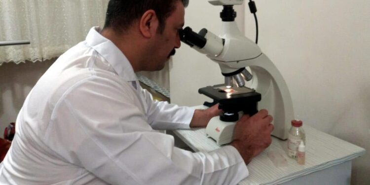 Kuşadası’nda yeni mantar türü keşfedildi: Volvariella Turcica