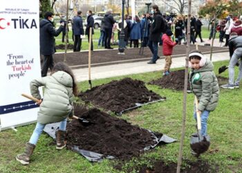 Kiev’de Milli Ağaçlandırma Günü’nde fidan dikildi