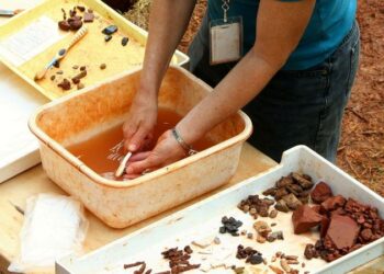 Kardeşliğin tarihini değiştirecek 30 bin yıllık keşif: Bilinen en eski tek yumurta ikizleri