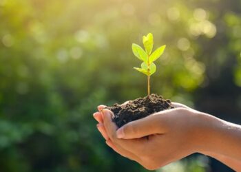 30 ülkede 83 milyon fidan toprakla buluşacak