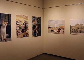 Tokyo’da “Türk kedisi” fotoğraf sergisi açıldı
