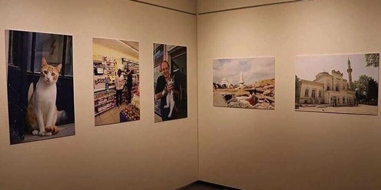 Tokyo’da “Türk kedisi” fotoğraf sergisi açıldı