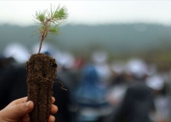 Geleceğe Nefes kampanyasıyla 30 ülkede fidanlar toprakla buluşacak