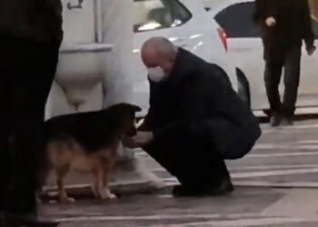 Eliyle sokak köpeğine su içirdi