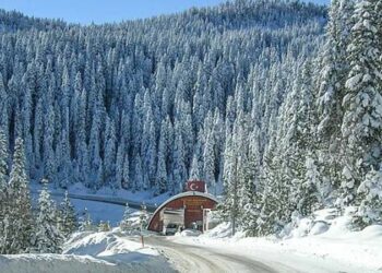 ‘Anadolu’nun yüce dağı’ Ilgaz’a mevsimin ilk karı yağdı