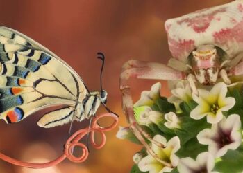 2020 Luminar Böcek Fotoğrafçılık Ödülleri’nin sahipleri belli oldu